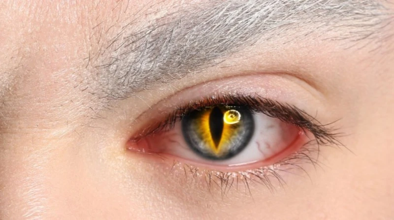 العدسات الملونة في الهالوين، تحذير من تحول الاحتفال لكابوس مرعب