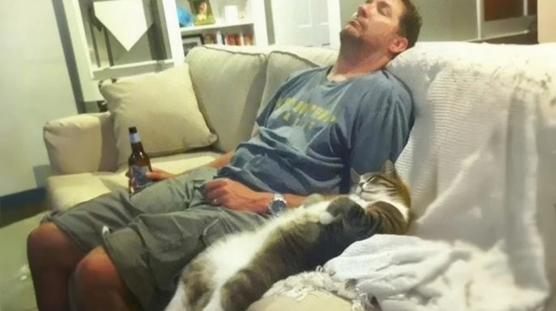 أنماط خفية تتراكم زمنيًا، سبب مخيف وراء تقليد القطط لحركات أصحابها