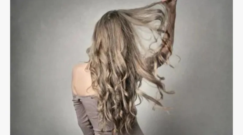 كيف تمنع ظهور الشعر الرمادي؟، إليك 7 أطعمة تكافح الشيب المبكر