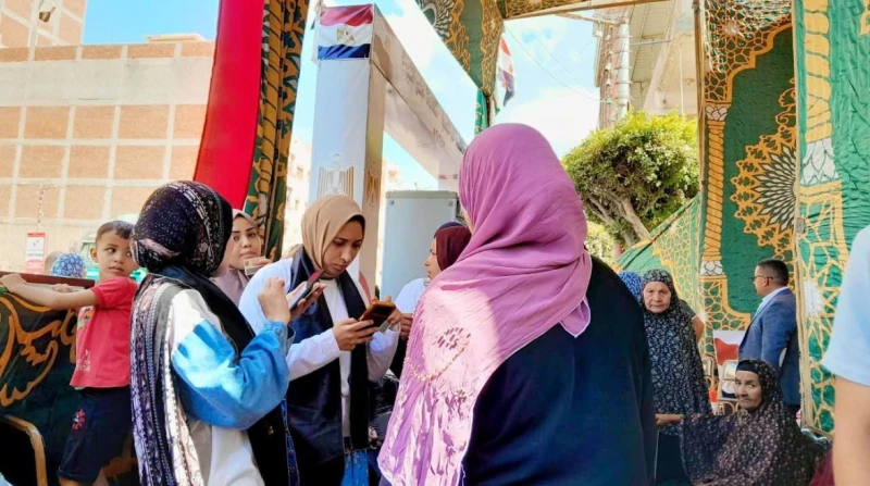 رابط الاستعلام عن لجنة انتخابات النواب 2025 بالرقم القومي