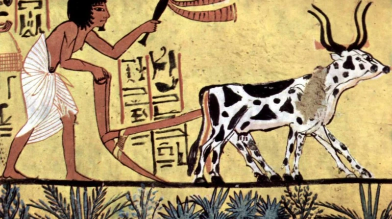 في افتتاح المتحف المصري الكبير، أول مطبخ في تاريخ الفراعنة