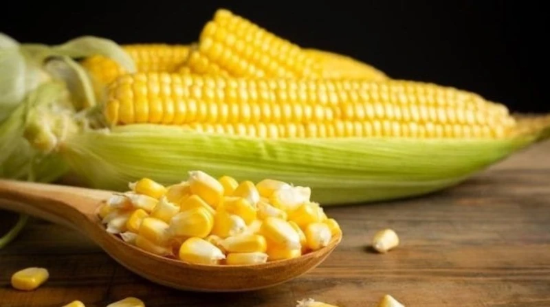 بالذرة الحلوة، اختبار منزلي لقياس صحة الجهاز الهضمي