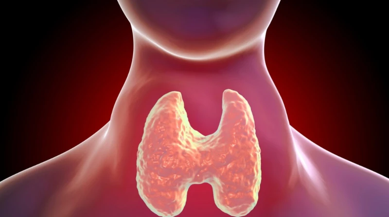 الشيبسي والبروكلي، 5 أطعمة "عدوة" لـ الغدة الدرقية