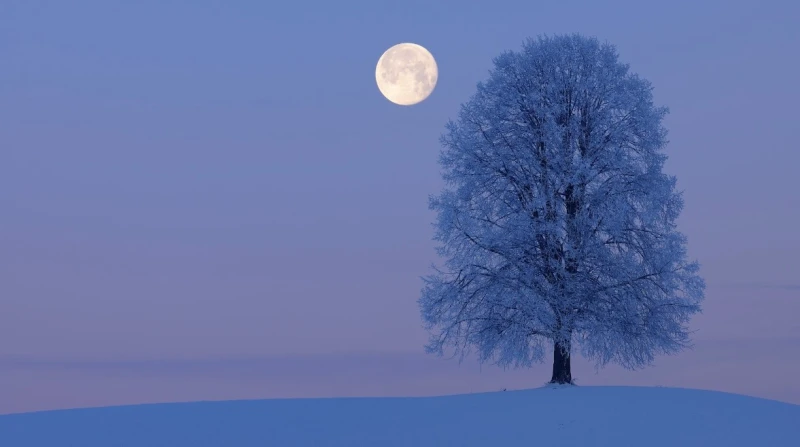 القمر البارد، موعد ظهور البدر العملاق الأخير في 2025