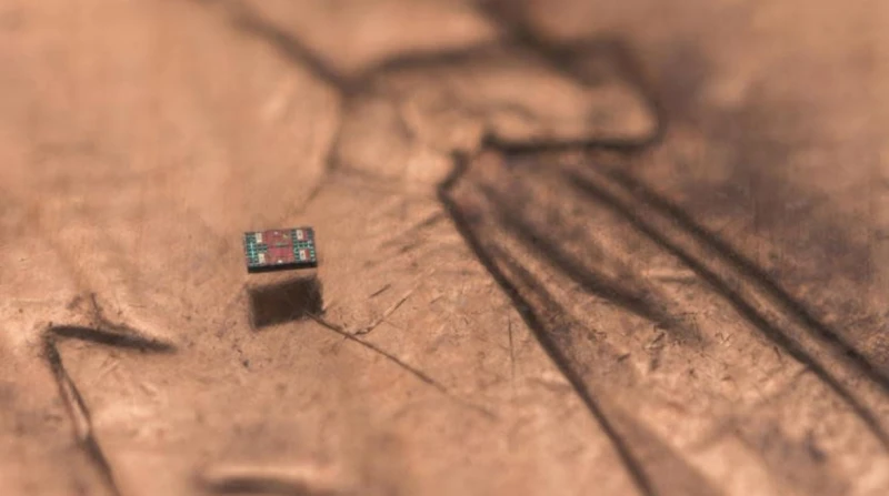 "أصغر من حبة ملح".. روبوت جديد قد يغيّر مستقبل الجراحة والعلاج