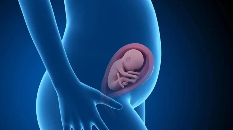 يصيب طفلك بالتوحد, هرمون خطير على الأم خلال فترة الحمل تعرفي عليه