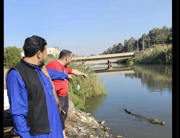 لجنة لرصد حالة تمساح الشرقية إمكانية ظهور تماسيح اخري