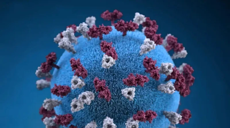 بعد رصده بمطاريّن دولييّن، الفيروس الأكثر شراسة يهدد 8 ملايين مسافر