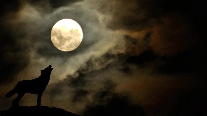 قمر الذئب العملاق، موعد ظهور أول بدر مكتمل في 2026