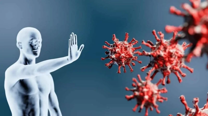 تعزيز المناعة في الشتاء، أطعمة ومشروبات تحميك من الأمراض