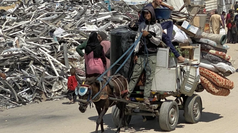 استقبلت 4 حيوانات لرعايتها، ألمانيا تربت بيدها على حمير غزة وعيونها لا ترى وجع الأطفال