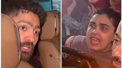«شغلني عندك».. فتاة تستغيث بـ تامر حسني عقب حفله في قصر عابدين ورد غير متوقع من الفنان