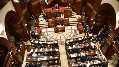 الإثنين المقبل.. لجنة التعليم والاتصالات بالشيوخ تناقش اقتراح النائبة ولاء هرماس بشان تقييد منصة «روبلوكس»