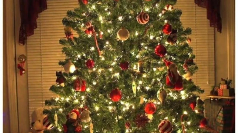هل تؤثر شجرة الكريسماس على الحالة النفسية؟ الفوائد والأضرار