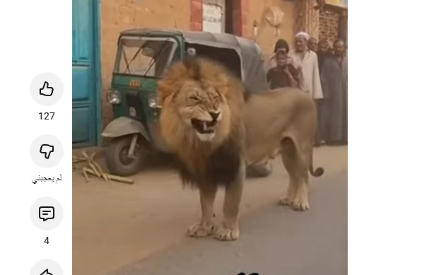 لو الخبر ده هزار يبقي لازم إجراء رادع: اسد في اسيوط