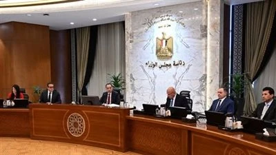 الحكومة توافق على مد العمل بالتأشيرة الترانزيت مجاناً لمدة عام