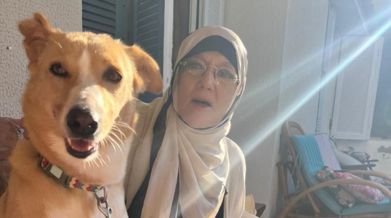 شمس البارودي تدافع عن الكلاب: "لا تبطل الصلاة ومش هتعلموني الدين"