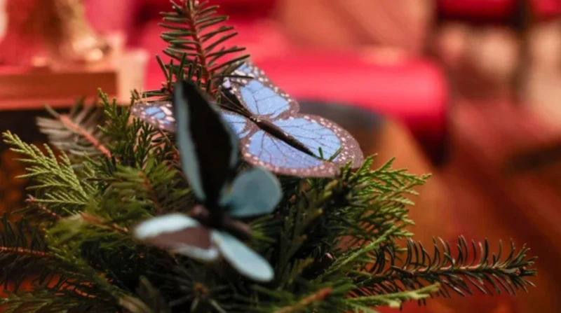 10 آلاف فراشة زرقاء، ميلانيا ترامب تثير الجدل بزينة عيد الميلاد (صور)