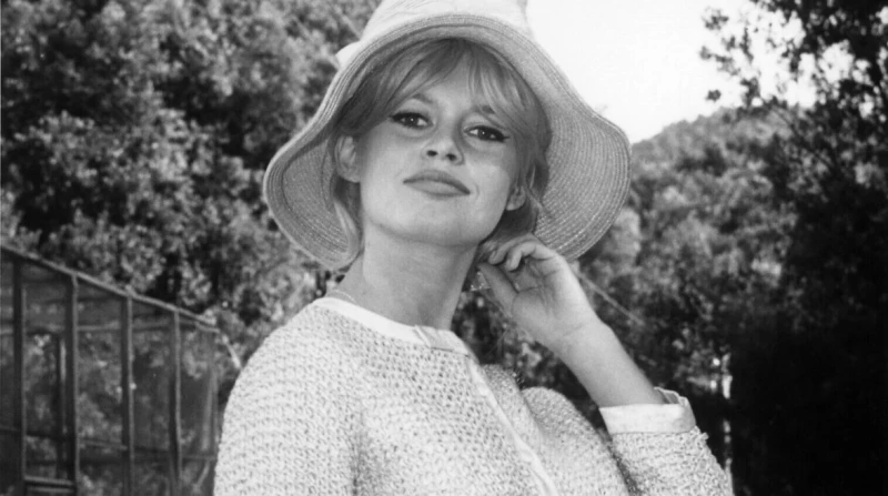 رمز الجمال الفرنسي وأيقونة سينمائية عالمية، معلومات عن بريجيت باردو