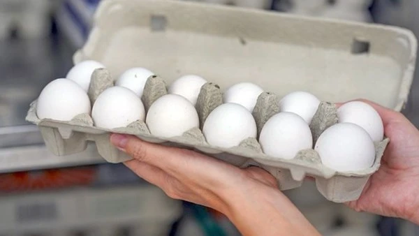 ليست كما يُشاع .. هل تناول البيض يرفع الكوليسترول؟ وأفضل طرق طهيه