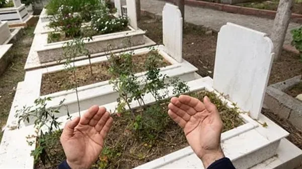 هل السواد حداد أم عادة؟.. أمين الفتوى يحسم الجدل حول ارتداء الأسود بعد الوفاة