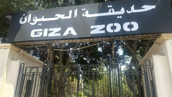 موعد افتتاح حديقة الحيوان بالجيزة رسميًا.. مفاجأت عالمية في التصميم بعد ربطها بالأورمان