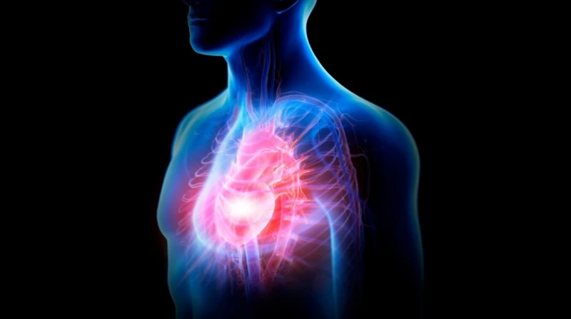 دراسة على الفئران تفتح باب الأمل لمرضى القلب