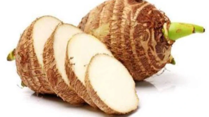 عيد الغطاس 2026، ما سر تناول نبات القلقاس؟