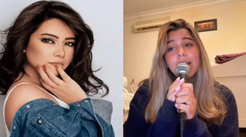 "نادي على ماما"، ابنة شيرين تثير تفاعل الجمهور بأغنية والدتها الأيقونية