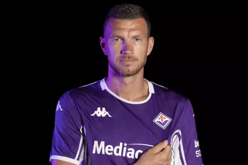 البوسني إدين دجيكو إلى شالكة الألماني