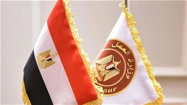 وزارة العمل تعلن عن فتح باب التقديم على 85 وظيفة برواتب تصل إلى 12000جنيه