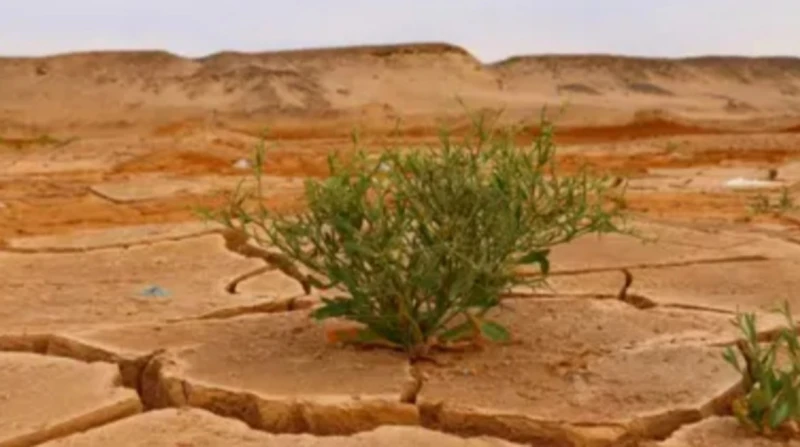 دراسة: التغير المناخي يكتب نهاية التقويم الميلادي