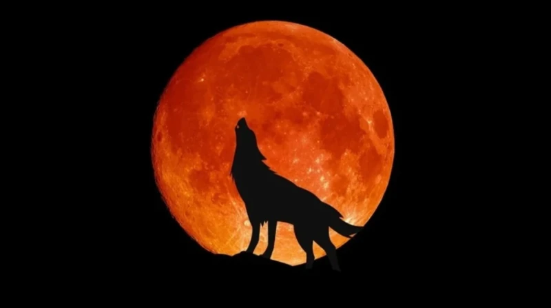 "قمر الذئب"، ظاهرة فلكية نادرة تزين سماء يناير