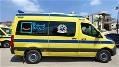 12 مصاب وبينهم أطفال .. ننشر أسماء مصابي حادث ميكروباص المنيا