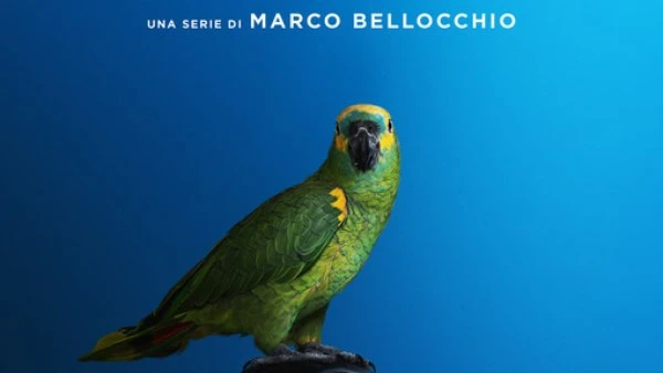 طرح مسلسل PORTOBELLO للمخرج ماركو بيلوكيو 20 فبراير