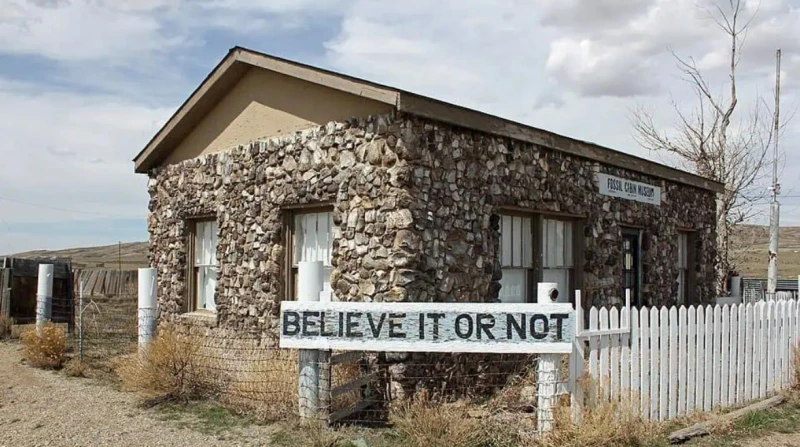 "كوخ الأحافير" تحفة معمارية بناها أمريكي بعظام الديناصورات