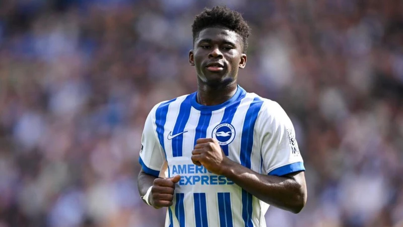 مسرح الأحلام يُغازل الكاميروني كارلوس باليبا