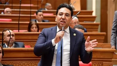 وكيل اقتصادية النواب: جائزة التميز الحكومي ترجمة عملية لرؤية الدولة في إصلاح الإدارة وتحفيز النمو الاقتصادي