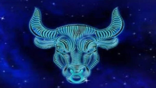 هذه الشهور بشرى خير.. توقعات عبير فؤاد لـ برج الثور في عام 2026