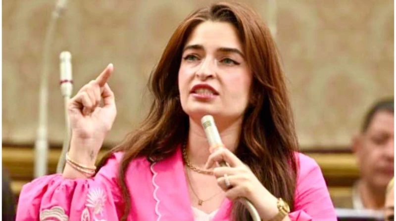 إيرين سعيد تتقدم بطلب إحاطة بشأن مخالفات تطبيق نظام البكالوريا في التعليم الثانوي