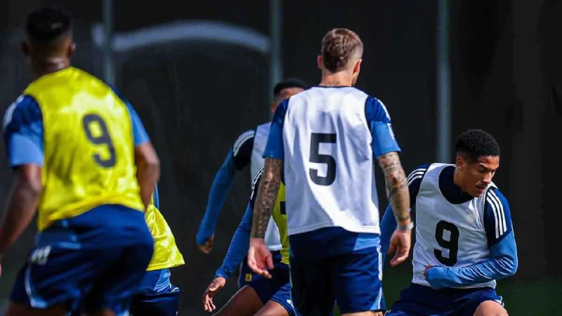 النصر يفكر في صفقة الشتاء.. وبينتو على رادار الإنجليز