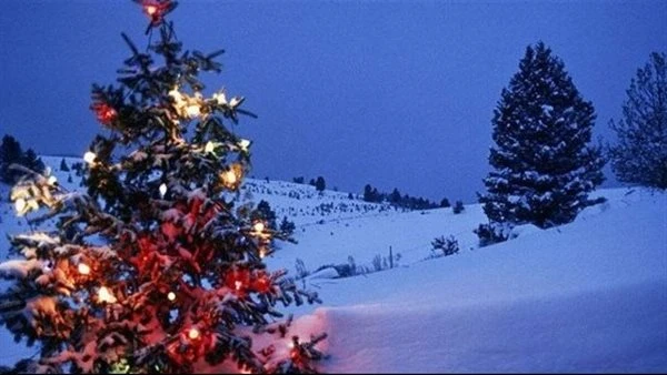 الأرصاد توضح طقس عيد الميلاد المجيد.. ارتفاع طفيف ومؤقت فى درجات الحرارة خلال النهار