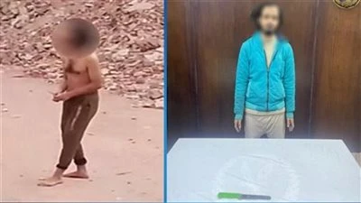 المتهم مريض نفسي.. التحقيقات تكشف تفاصيل ترويع المواطنين بسلاح أبيض في المرج