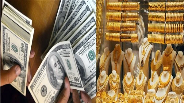 ارتفاع سعر الذهب والدولار في مصر بمنتصف تعاملات الأربعاء 14 يناير 2026