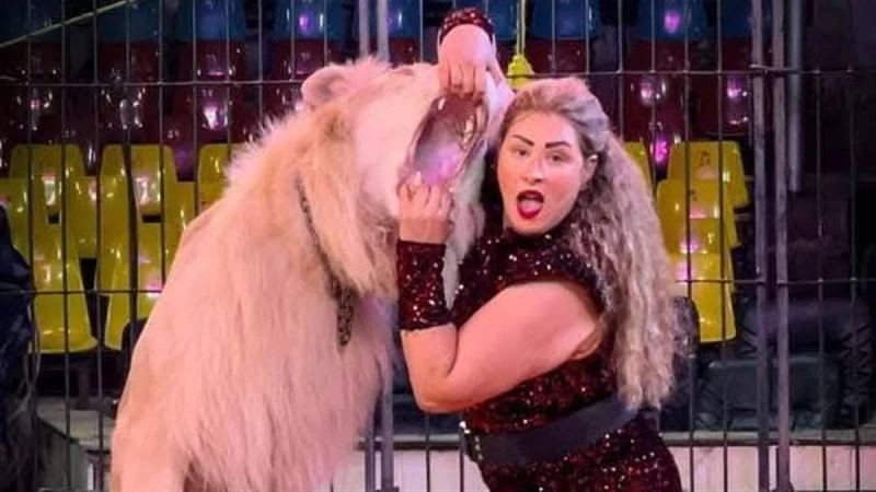 السيرك القومي يواصل تقديم برنامجه يوميا بالعجوزة