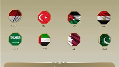 وزراء خارجية مصر والسعودية وتركيا و7 دول يعربون عن قلق بالغ إزاء تدهور الأوضاع الإنسانية في غزة