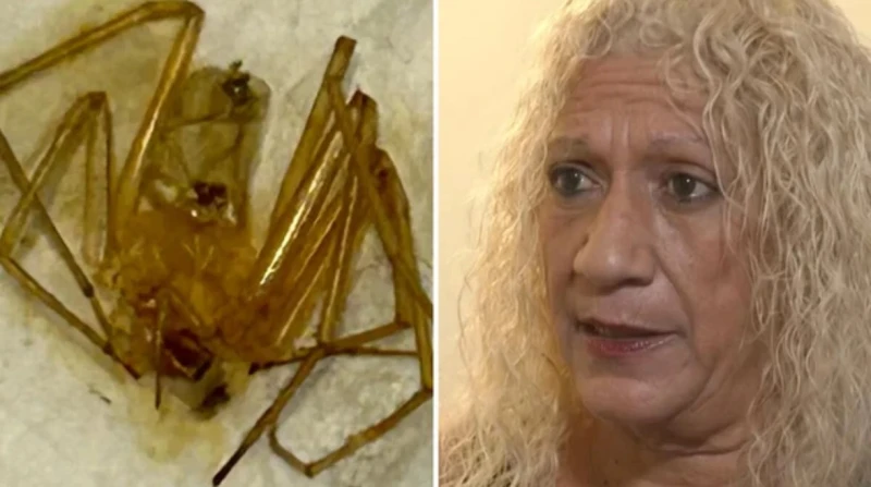 بعد أن فقدت أصابعها، امرأة من فلوريدا تلاحق العناكب في المحاكم