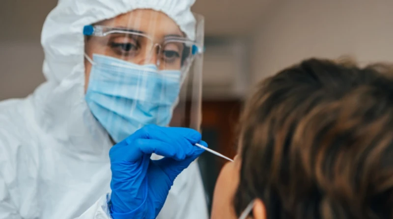 "كورونا الكلاب.. خبراء يحذرون من خطر وبائي يهدد الصحة العامة