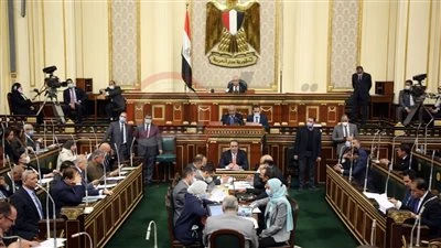 برلماني: توطين صناعة الغزل والنسيج ركيزة للأمن الصناعي وجهود الدولة متواصلة