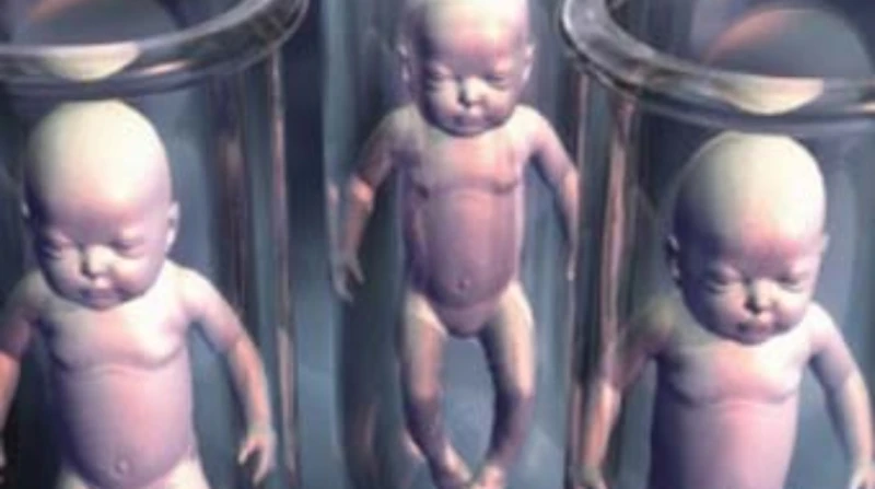 بعد 44 سنة، زوجان يكتشفان أن ابنتهما المولودة بتلقيح اصطناعي ليست من نسبهما